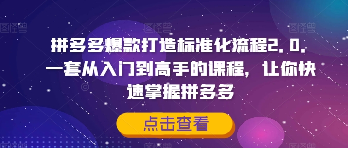 拼多多爆款打造标准化流程2.0，一套从入门到高手的课程，让你快速掌握拼多多-搞个副业