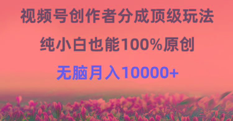 (9608期)视频号创作者分成顶级玩法，纯小白也能100%原创，无脑月入10000+-搞个副业