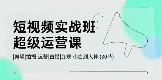短视频实战班超级运营课 |剪辑|拍摄|运营|直播|变现 小白到大神 (30节)-搞个副业