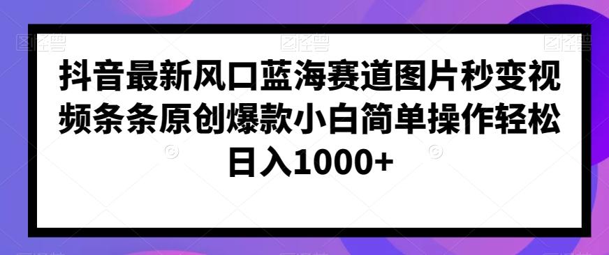 抖音最新风口蓝海赛道图片秒变视频条条原创爆款小白简单操作轻松日入1000+-搞个副业