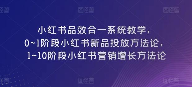小红书品效合一系统教学，​0~1阶段小红书新品投放方法论，​1~10阶段小红书营销增长方法论-搞个副业