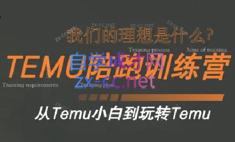 苗苗·拼多多跨境（temu）课程-搞个副业