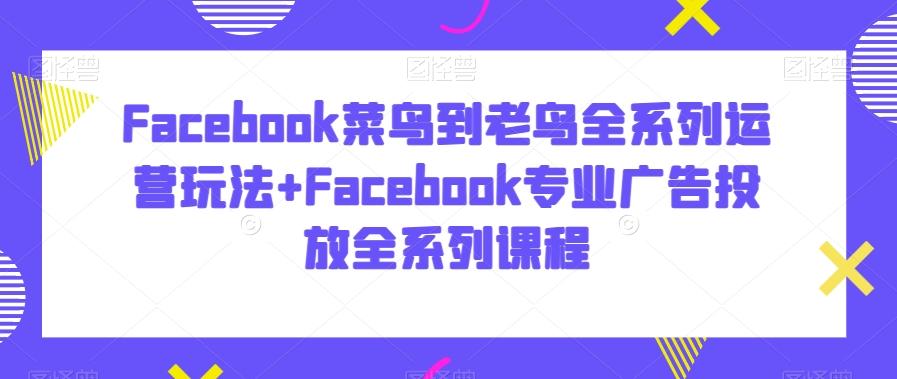 Facebook菜鸟到老鸟全系列运营玩法+Facebook专业广告投放全系列课程-搞个副业