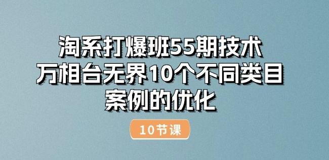 淘系打爆班55期技术：万相台无界10个不同类目案例的优化(10节)-搞个副业
