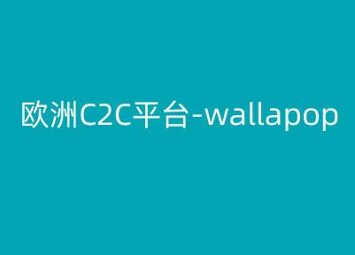 欧洲C2C平台-wallapop-kim跨境电商教程-搞个副业