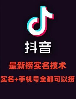 最新技术抖音捞实名+捞手机号技术，抖音直播封禁释放十名/手机号，直接替换出来!-搞个副业