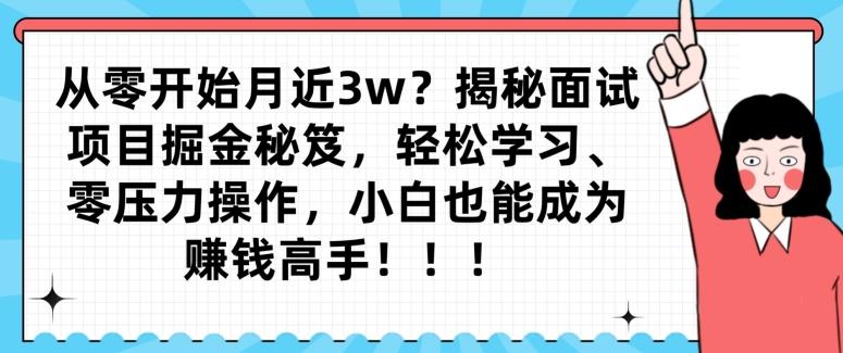 从零开始月近3w？揭秘面试项目掘金秘笈，轻松学习、零压力操作，小白也能成为赚钱高手-搞个副业