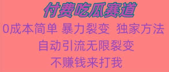 吃瓜付费赛道，暴力无限裂变，0成本，实测日入700+！！！-搞个副业