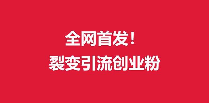 (全网首发)外面收费几千的裂变引流高质量创业粉-搞个副业