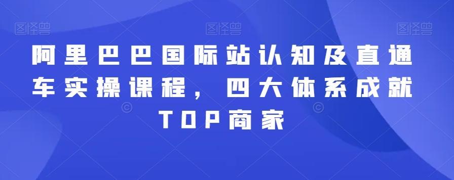 阿里巴巴国际站认知及直通车实操课程，四大体系成就TOP商家-搞个副业