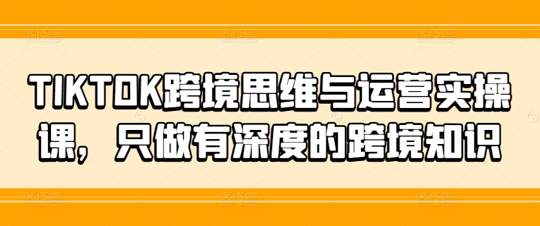 TIKTOK跨境思维与运营实操课，只做有深度的跨境知识-搞个副业