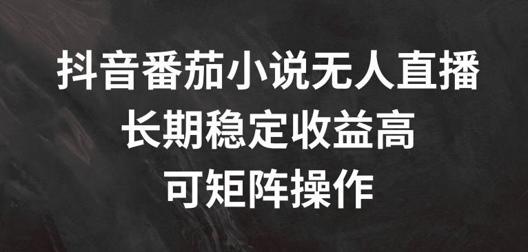 抖音番茄小说无人直播，长期稳定收益高，可矩阵操作【揭秘】-搞个副业