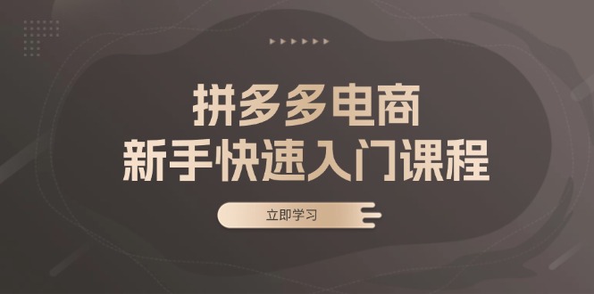 拼多多电商新手快速入门课程：涵盖基础、实战与选款，助力小白轻松上手-搞个副业