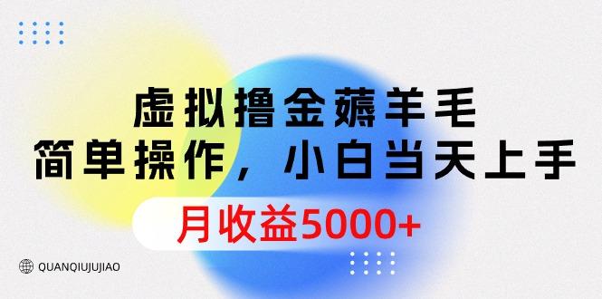 (9864期)虚拟撸金薅羊毛，简单操作，小白当天上手，月收益5000+-搞个副业
