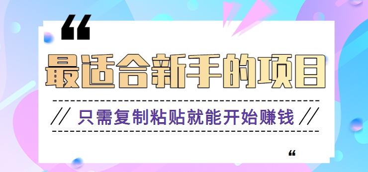 2024最适合新手操作的项目，新手小白只需复制粘贴就能开始赚钱【视频教程+软件】-搞个副业