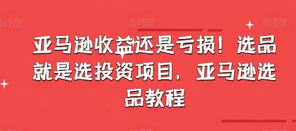 亚马逊收益还是亏损！选品就是选投资项目，亚马逊选品教程-搞个副业