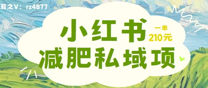 小红书减肥粉，私域变现项目，一单就达210元，小白也能轻松上手【揭秘】-搞个副业