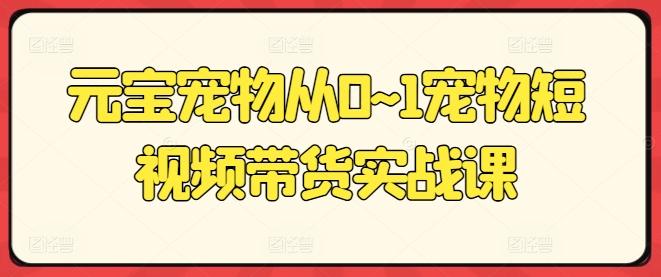 元宝宠物从0~1宠物短视频带货实战课-搞个副业