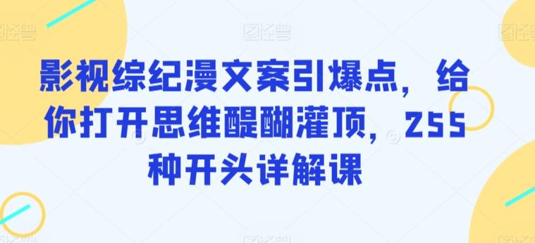 影视综纪漫文案引爆点，给你打开思维醍醐灌顶，255种开头详解课-搞个副业