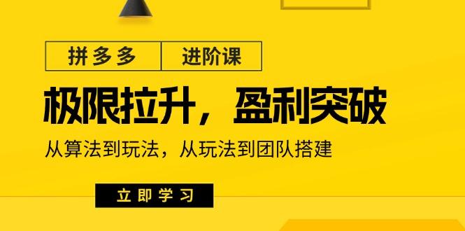 拼多多·进阶课：极限拉升/盈利突破：从算法到玩法 从玩法到团队搭建-18节-搞个副业