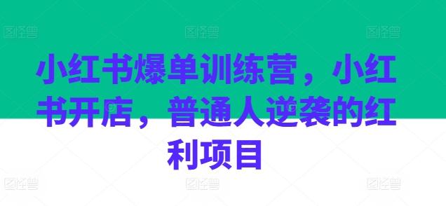 小红书爆单训练营，小红书开店，普通人逆袭的红利项目-搞个副业