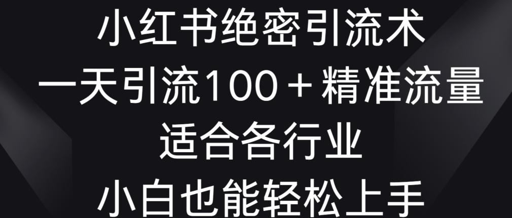 小红书绝密引流术，一天引流100+精准流量，适合各个行业，小白也能轻松上手【揭秘】-搞个副业