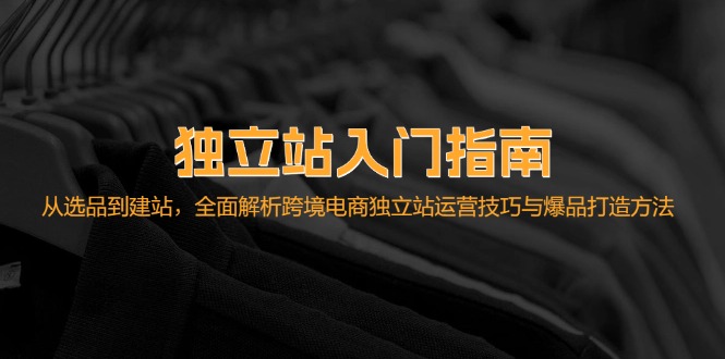 独立站入门指南：从选品到建站，全面解析跨境电商独立站运营技巧与爆品…-搞个副业