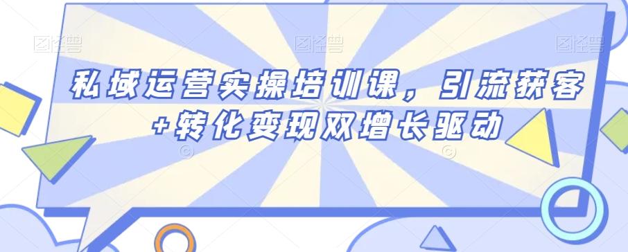 私域运营实操培训课，引流获客+转化变现双增长驱动-搞个副业
