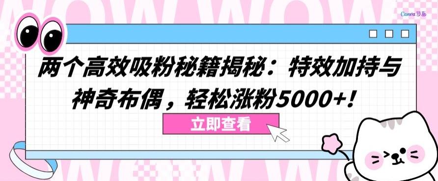 两个高效吸粉秘籍揭秘：特效加持与神奇布偶，轻松涨粉5000+【揭秘】-搞个副业