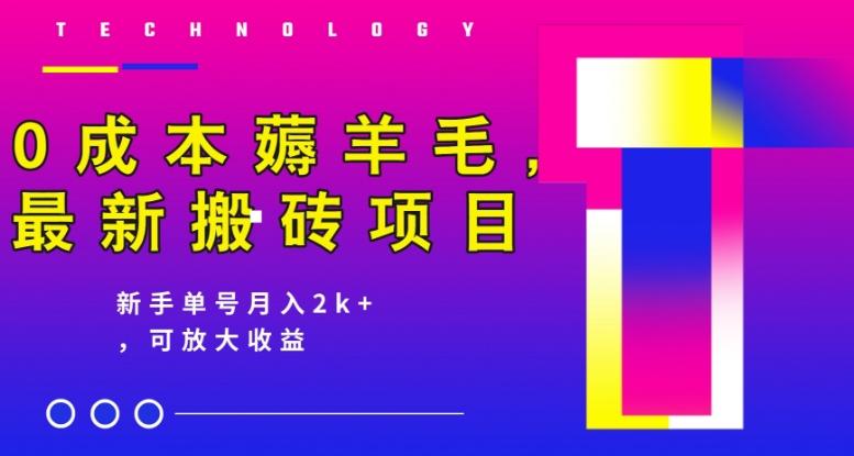 0成本薅羊毛，最新搬砖项目，新手单号月入2k+，可放大操作-搞个副业