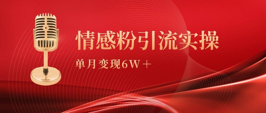 (9473期)单月变现6w+，情感粉引流变现实操课-搞个副业