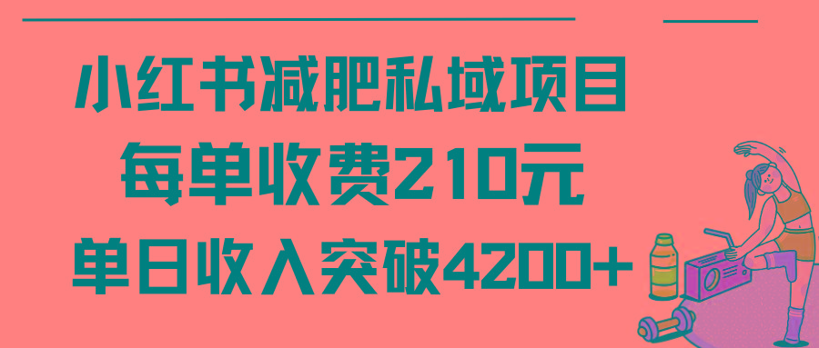 (9466期)小红书减肥私域项目每单收费210元单日成交20单，最高日入4200+-搞个副业