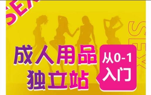 成人用品独立站从0-1入门，成品独立站运营全流程教学，七大好卖成品独立站推荐-搞个副业