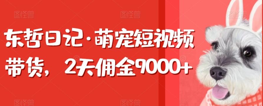 东哲日记·萌宠短视频带货，2天佣金9000+-搞个副业