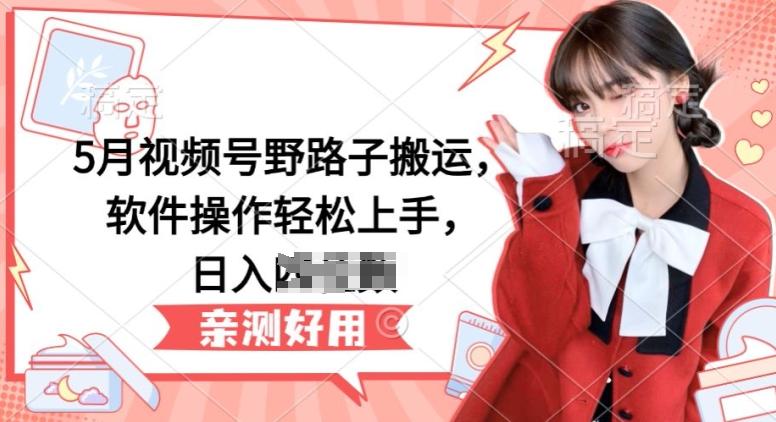 5月视频号野路子搬运，软件操作轻松上手，日入三位数【揭秘】-搞个副业