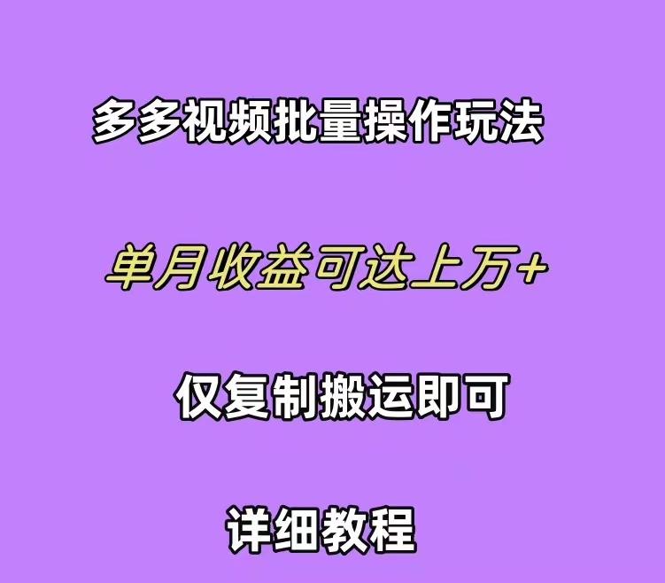 (10029期)拼多多视频带货快速过爆款选品教程 每天轻轻松松赚取三位数佣金 小白必…-搞个副业