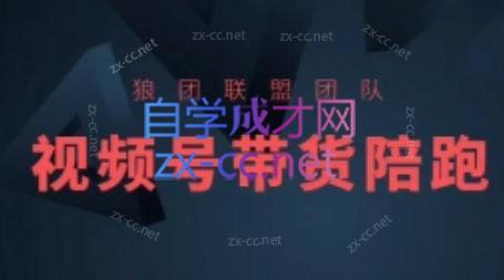狼团联盟·2024视频号带货-搞个副业