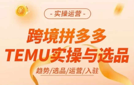 跨境拼多多TEMU实操与选品，多多temu跨境选品运营实操-搞个副业