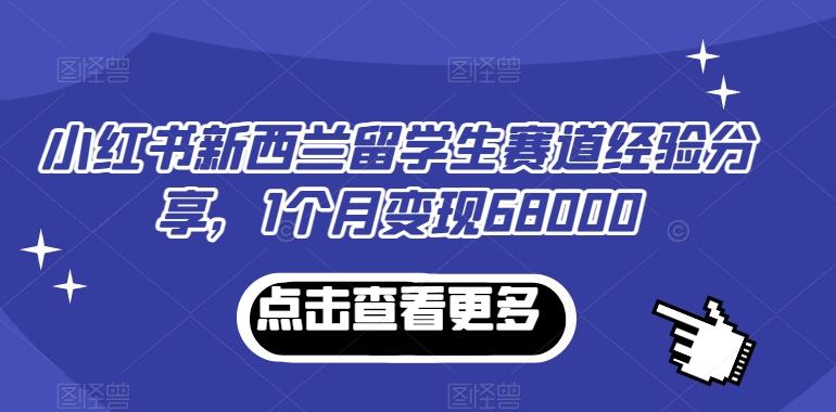 小红书新西兰留学生赛道经验分享，1个月变现68000【揭秘】-搞个副业