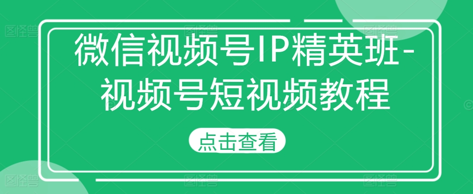 微信视频号IP精英班-视频号短视频教程-搞个副业