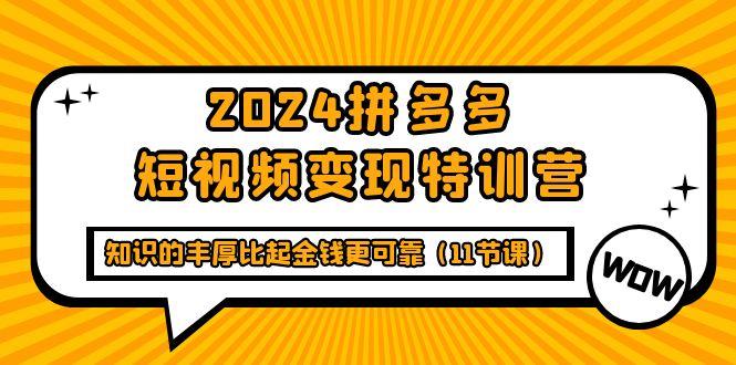 (9817期)2024拼多多短视频变现特训营，知识的丰厚比起金钱更可靠(11节课)-搞个副业