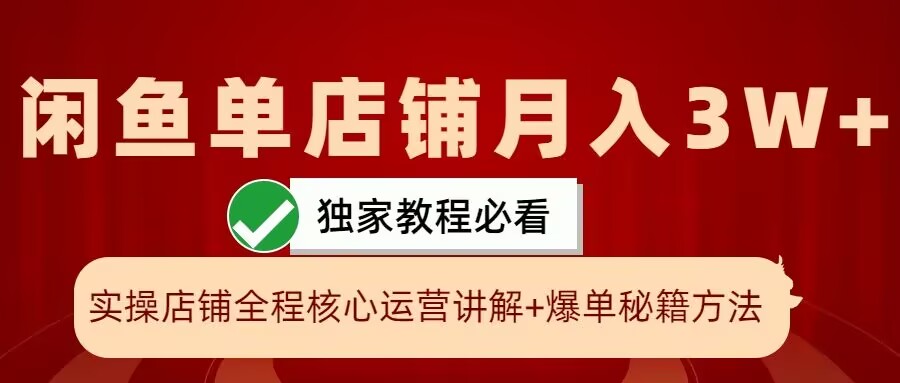 闲鱼单店铺月入3W+实操展示，爆单核心秘籍，一学就会【揭秘】-搞个副业