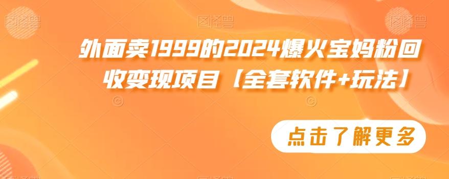 外面卖1999的2024爆火宝妈粉回收变现项目【全套软件+玩法】【揭秘】-搞个副业