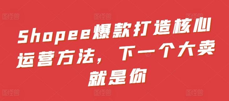 Shopee爆款打造核心运营方法，下一个大卖就是你-搞个副业