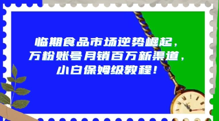 临期食品市场逆势崛起，万粉账号月销百万新渠道，小白保姆级教程【揭秘】-搞个副业