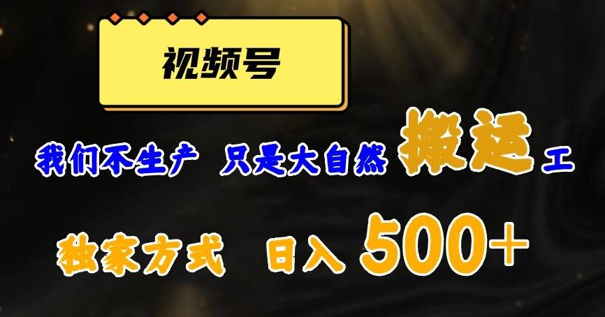 视频号轻松搬运日赚500+，一个1分钟1条原创视频【揭秘】-搞个副业