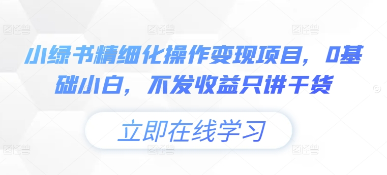 小绿书精细化操作变现项目，0基础小白，不发收益只讲干货-搞个副业