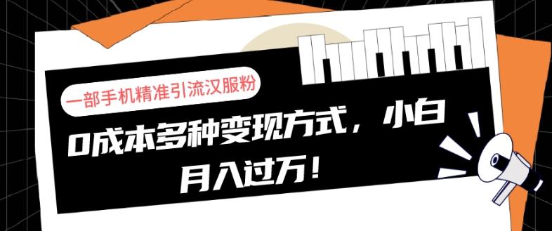 一部手机精准引流汉服粉，0成本多种变现方式，小白月入过万！-搞个副业