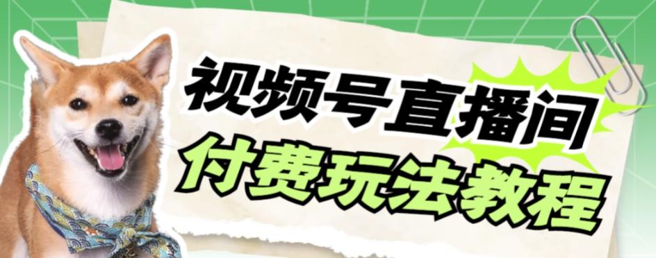 视频号美女付费无人直播，轻松日入500+【详细玩法教程】-搞个副业