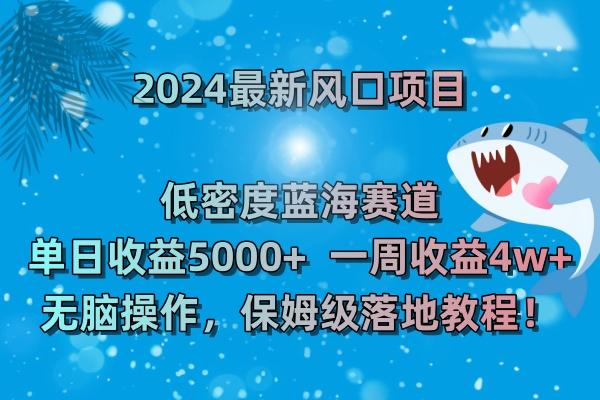 (8545期)2024最新风口项目 低密度蓝海赛道，日收益5000+周收益4w+ 无脑操作，保…-搞个副业